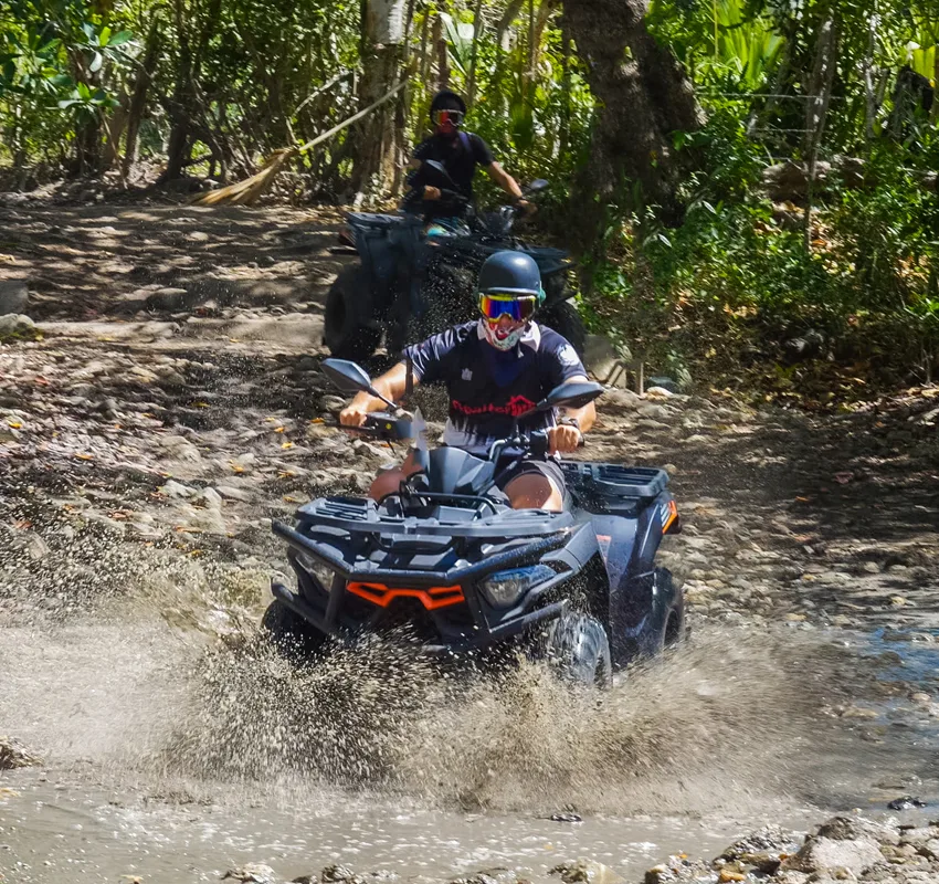 ATV Quads Let’s Ride by Iguana Mama