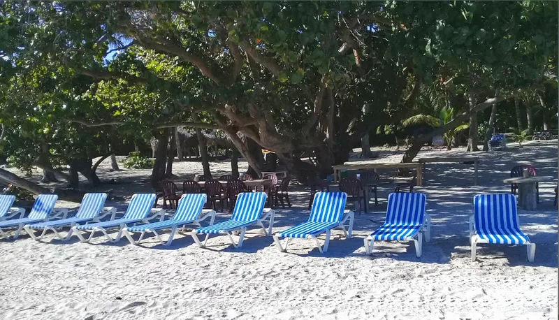 Book a spot for castaway beach party organized by Iguana Mama